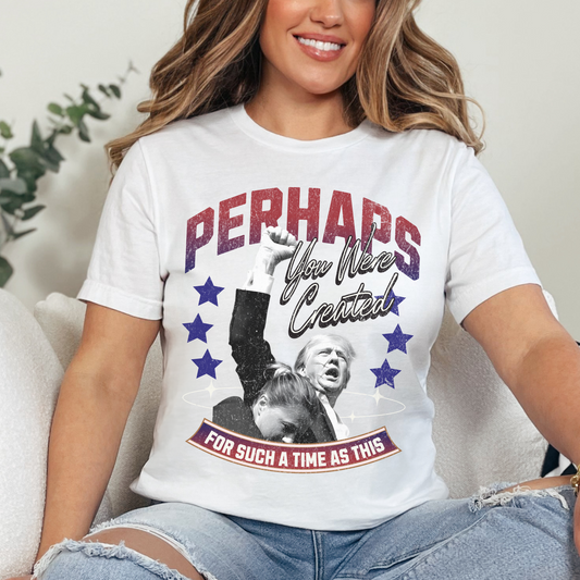 Perhaps you were Created for Such a Time as This T-Shirt - Unisex Jersey Short Sleeve Tee, Election Apparel, Election 2024, Trump Apparel, Fight Fight Fight